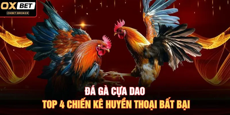 Đá Gà Cựa Dao - Top 4 Chiến Kê Huyền Thoại Bất Bại