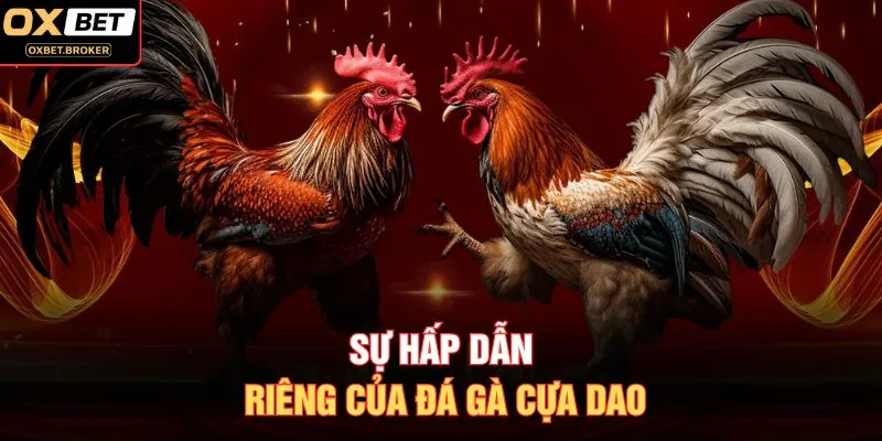 Sự hấp dẫn riêng của đá gà cựa dao
